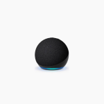 Echo dot